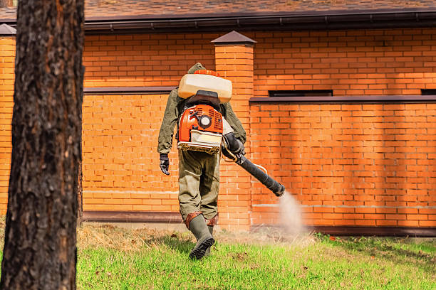 Trusted Emergency Pest Control service in Waihee-Waiehu, HI - Nex Pest Control